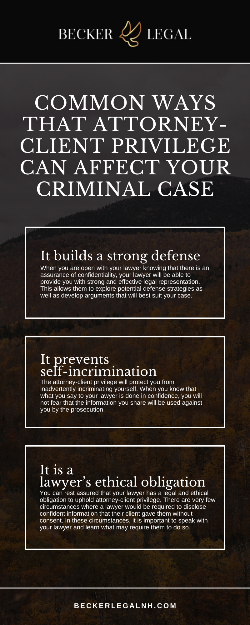 Common Ways That Attorney-Client Privilege Can Affect Your Criminal Case Infographic