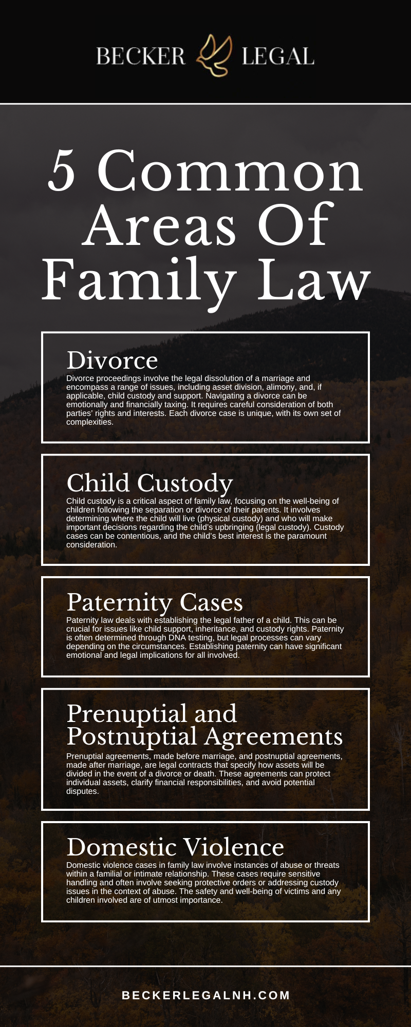 5 Common Areas Of Family Law Infographic