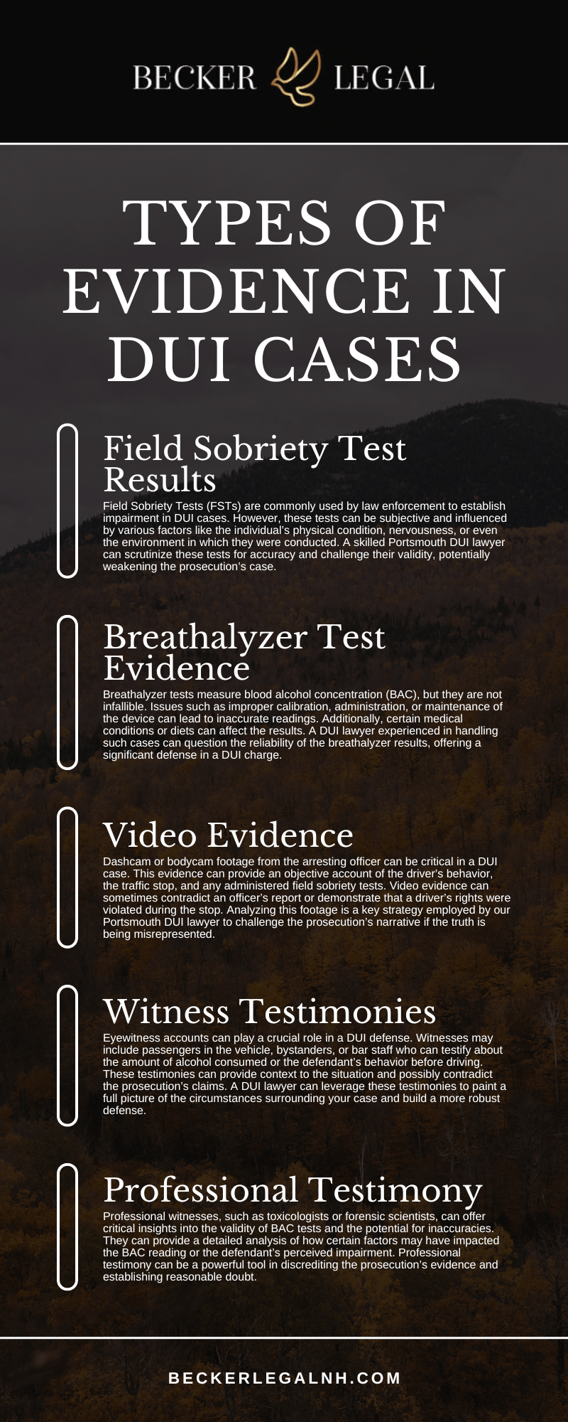 Types Of Evidence In DUI Cases Infographic