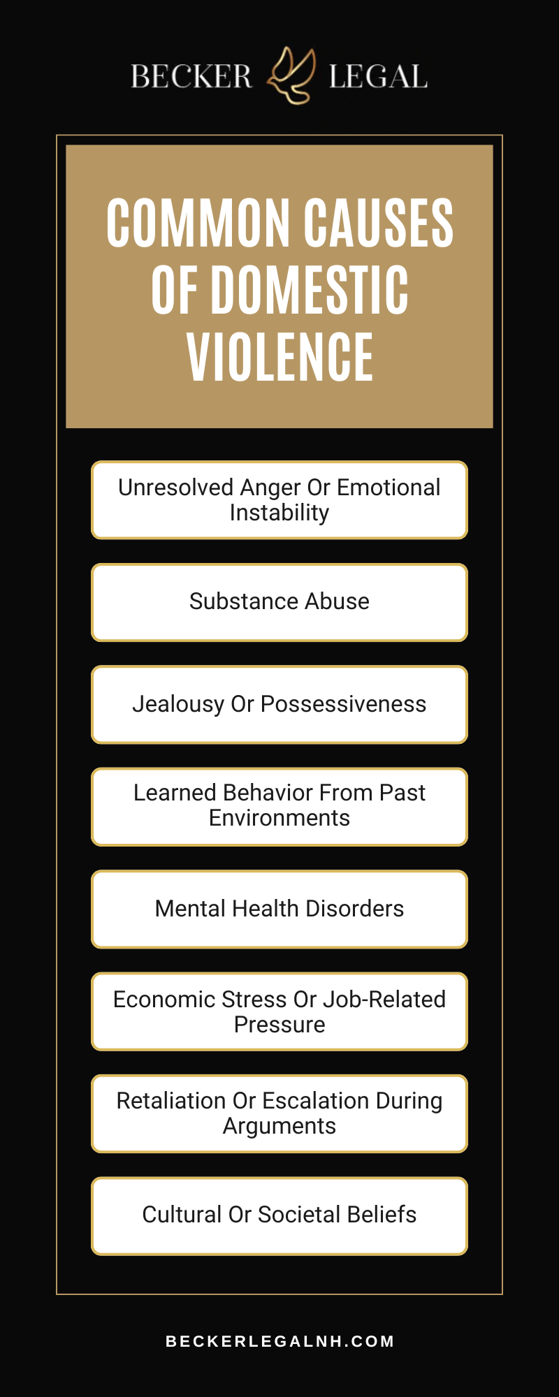 Common Causes Of Domestic Violence Infographic