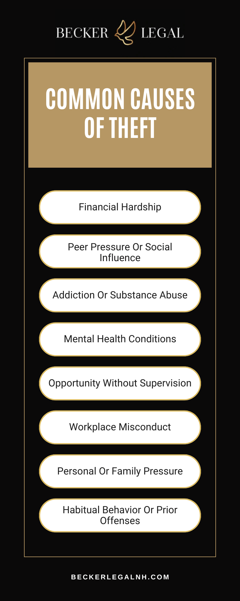 Common Causes Of Theft Infographic